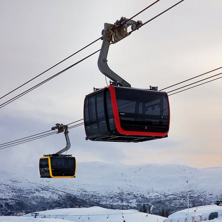 Tricable and bicable gondola lifts