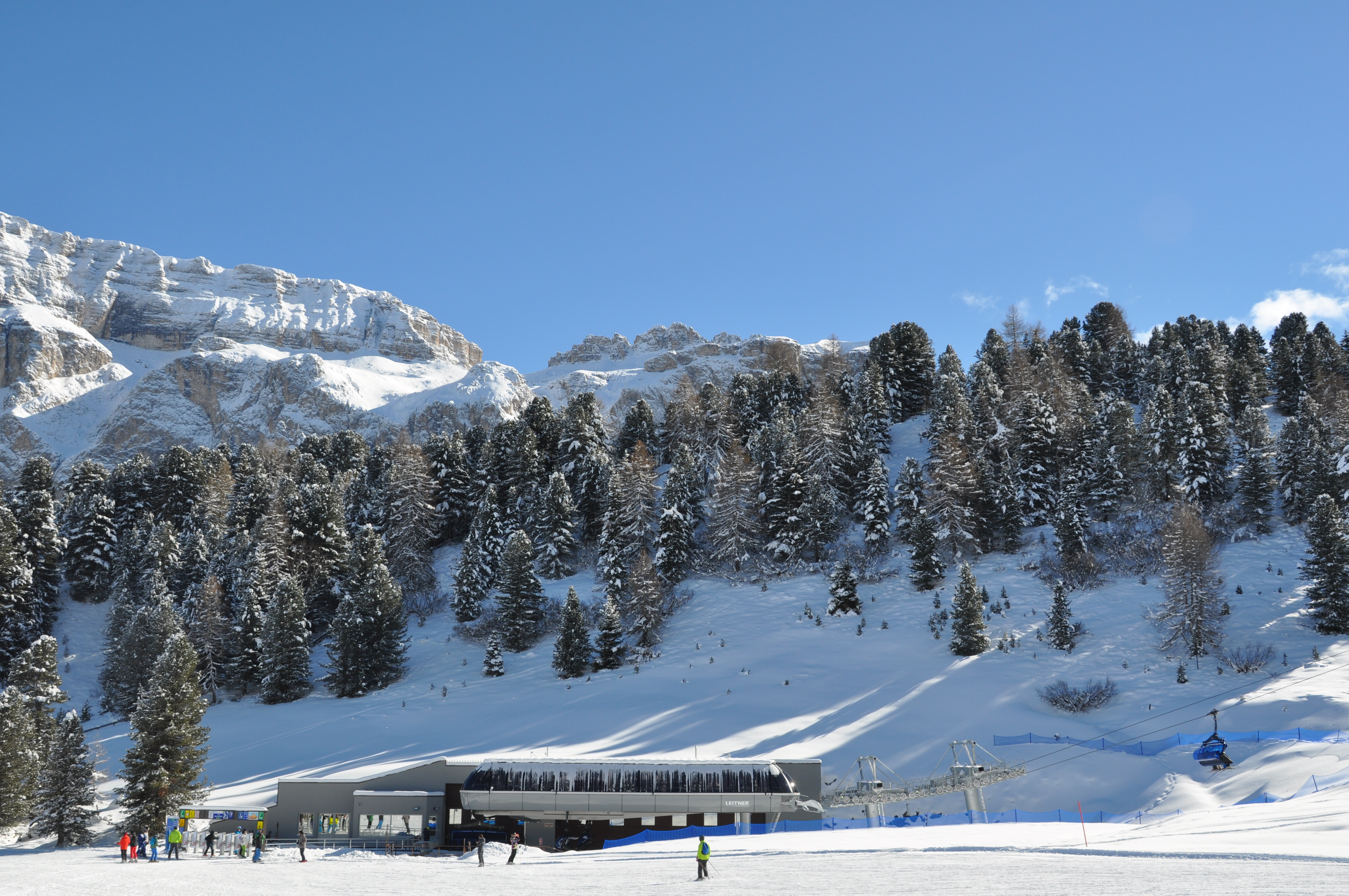 CD8C Gran Paradiso